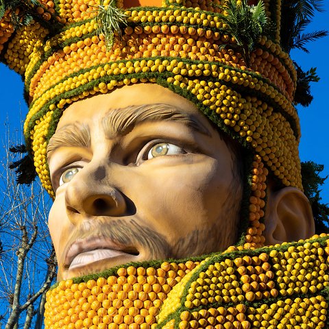 89ème Fête du Citron® - exposition des motifs d'agrumes