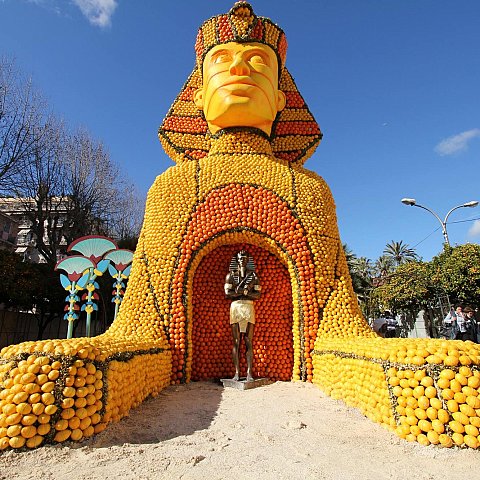 Exposition des motifs d'agrumes dans les jardins Biovès - Fête du Citron®