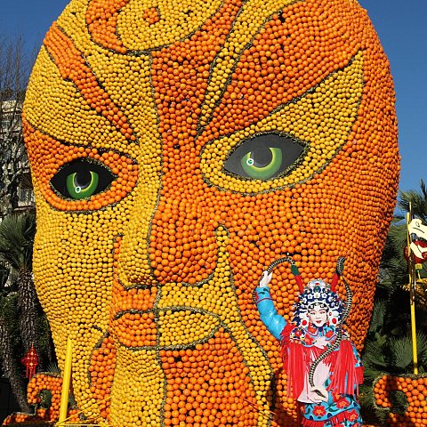 Exposition des motifs d'agrumes dans les jardins Biovès - Fête du Citron®