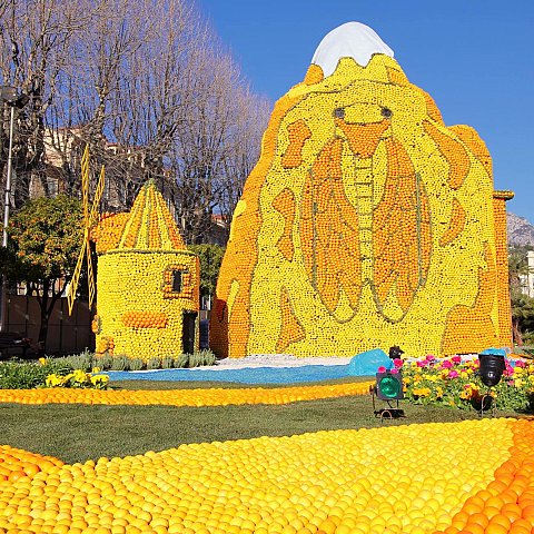 Exposition des motifs d'agrumes dans les jardins Biovès - Fête du Citron®