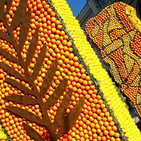 Exposition des motifs d'agrumes dans les jardins Biovès - Fête du Citron®