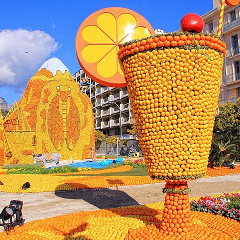 Exposition des motifs d'agrumes dans les jardins Biovès - Fête du Citron®