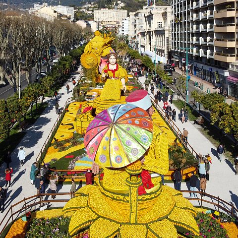 Exposition des motifs d'agrumes dans les jardins Biovès - 89ème Fête du Citron®