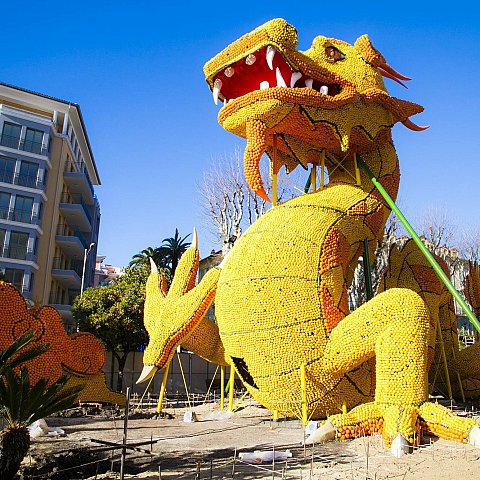 Exposition des motifs d'agrumes dans les jardins Biovès - Fête du Citron®