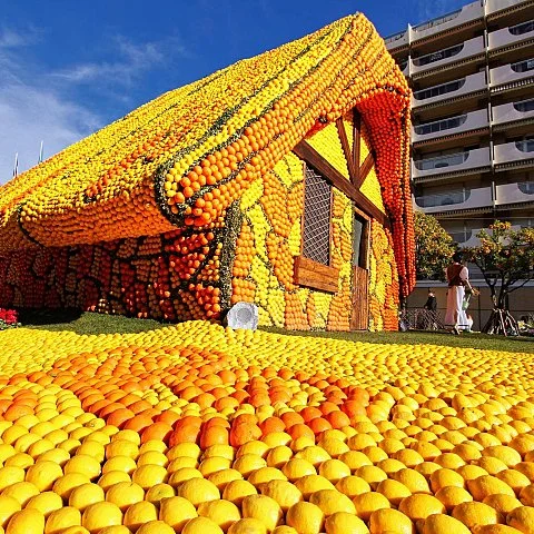 Exposition des motifs d'agrumes dans les jardins Biovès - Fête du Citron® (6/10)