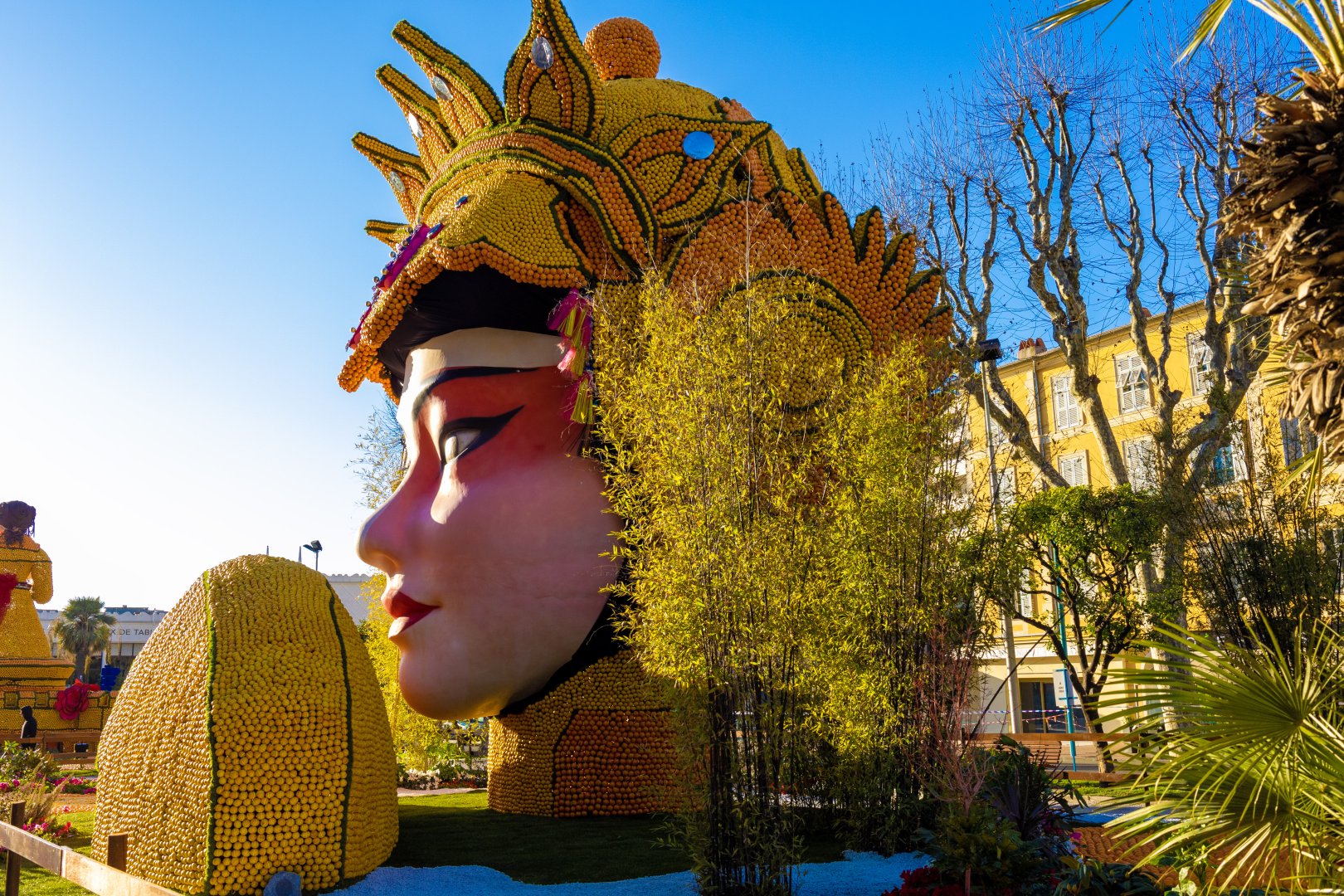 photographie Fête du Citron