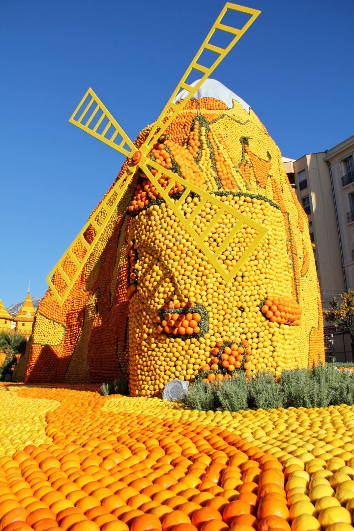 photographie Fête du Citron